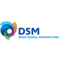 DSM Logo